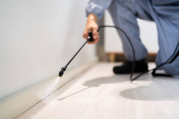 Licensed Pest Control service in Glen Dale, WV - Show Me Pest Control